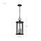 Nuvo Broadstone - 2 Light Hanging Lantern - Matte Black with Clear Seeded Glass 60/8115 - alternate 7